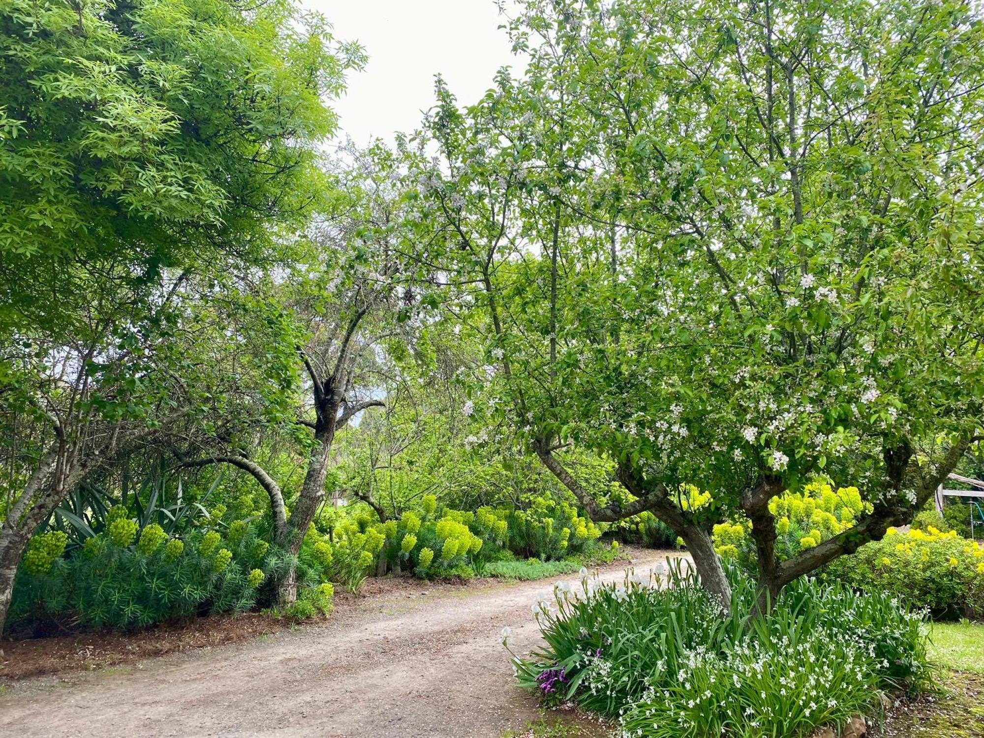 Апартаменты Sutton Spring Art Retreats Дейлсфорд Номер фото