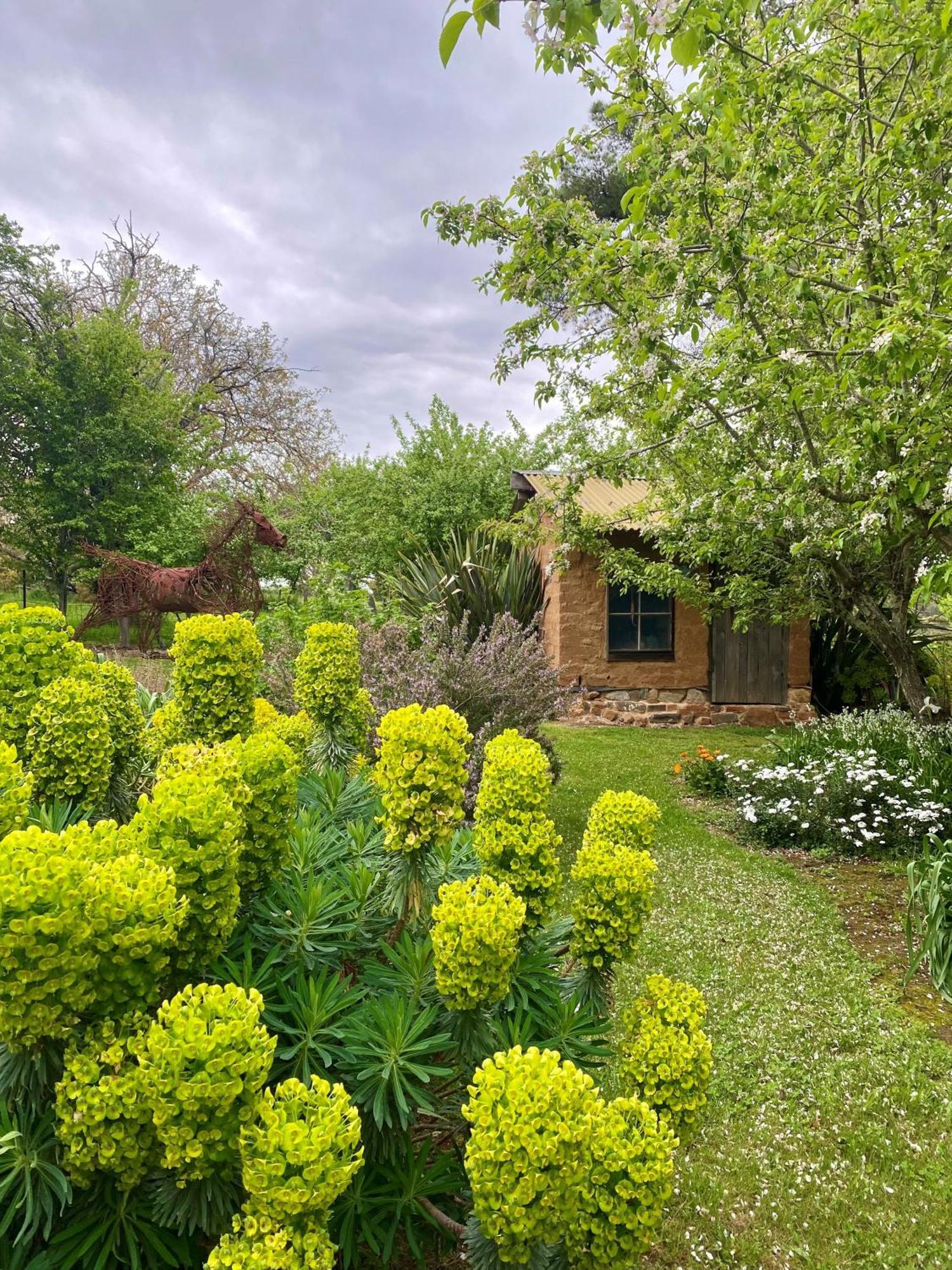 Апартаменты Sutton Spring Art Retreats Дейлсфорд Экстерьер фото